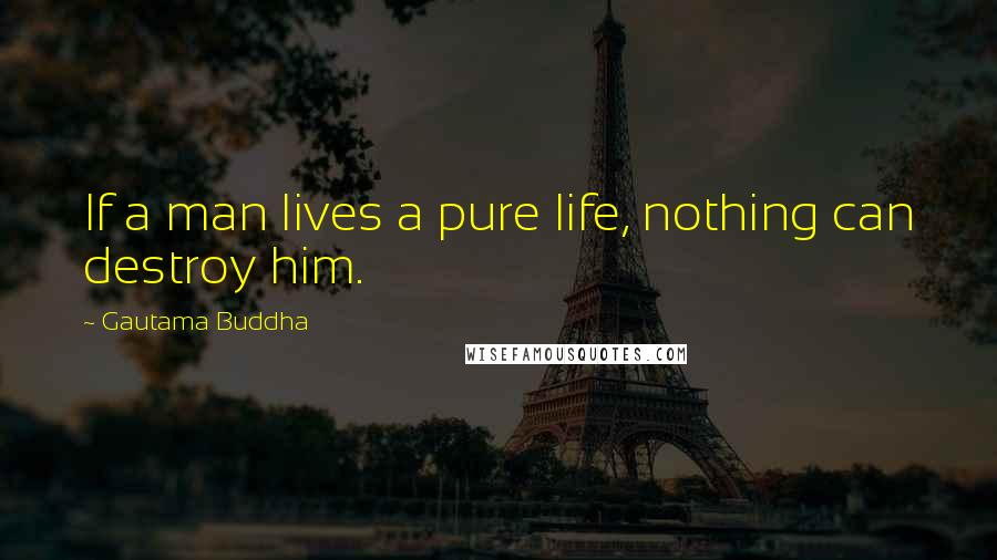 Gautama Buddha Quotes: If a man lives a pure life, nothing can destroy him.