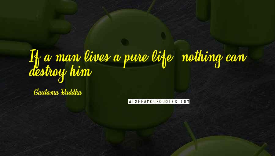 Gautama Buddha Quotes: If a man lives a pure life, nothing can destroy him.
