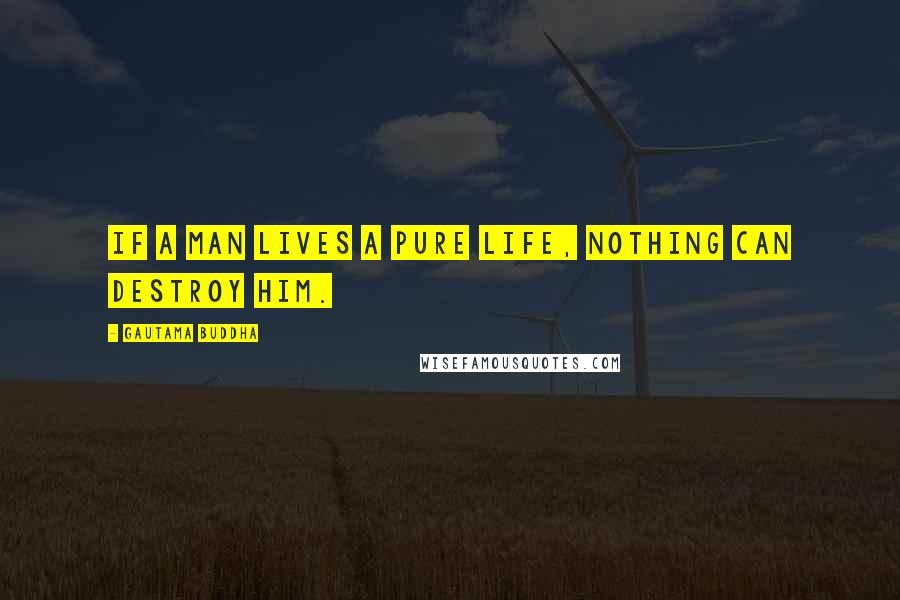 Gautama Buddha Quotes: If a man lives a pure life, nothing can destroy him.