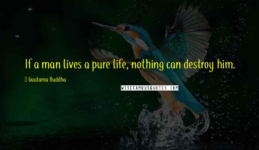 Gautama Buddha Quotes: If a man lives a pure life, nothing can destroy him.