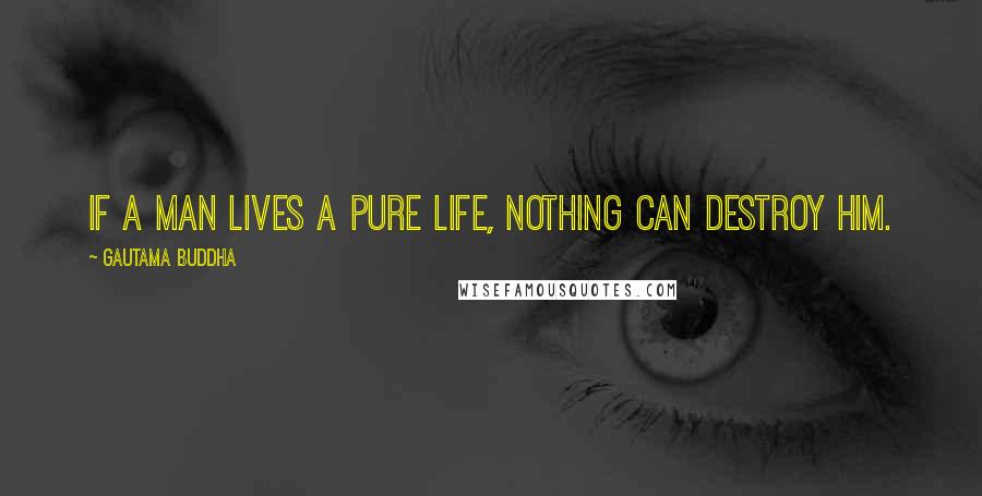 Gautama Buddha Quotes: If a man lives a pure life, nothing can destroy him.