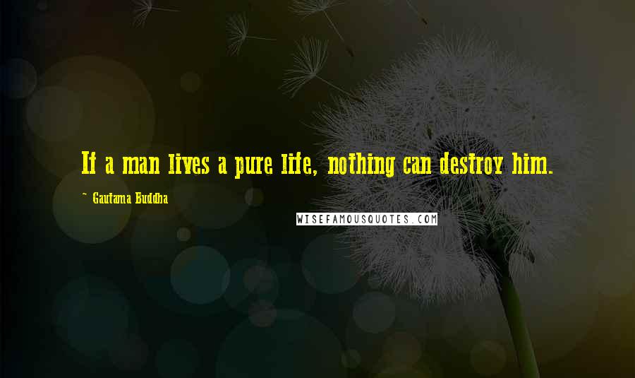 Gautama Buddha Quotes: If a man lives a pure life, nothing can destroy him.