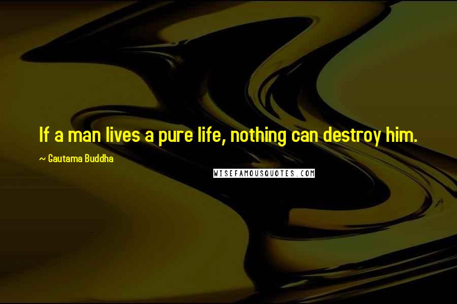 Gautama Buddha Quotes: If a man lives a pure life, nothing can destroy him.