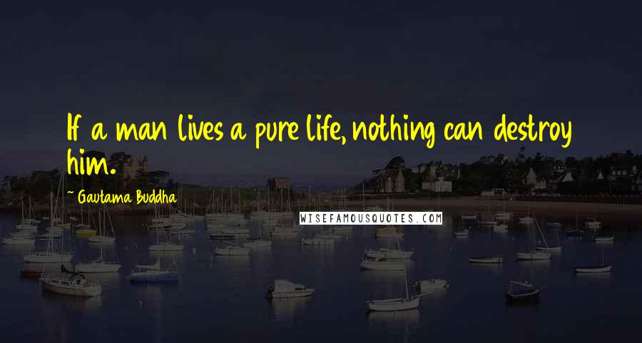 Gautama Buddha Quotes: If a man lives a pure life, nothing can destroy him.