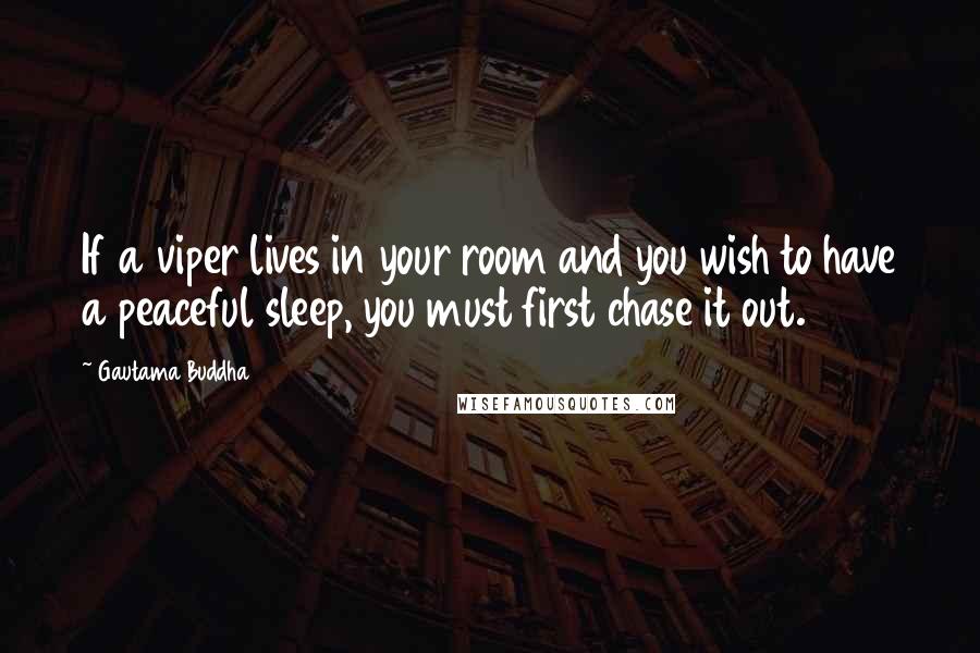Gautama Buddha Quotes: If a viper lives in your room and you wish to have a peaceful sleep, you must first chase it out.