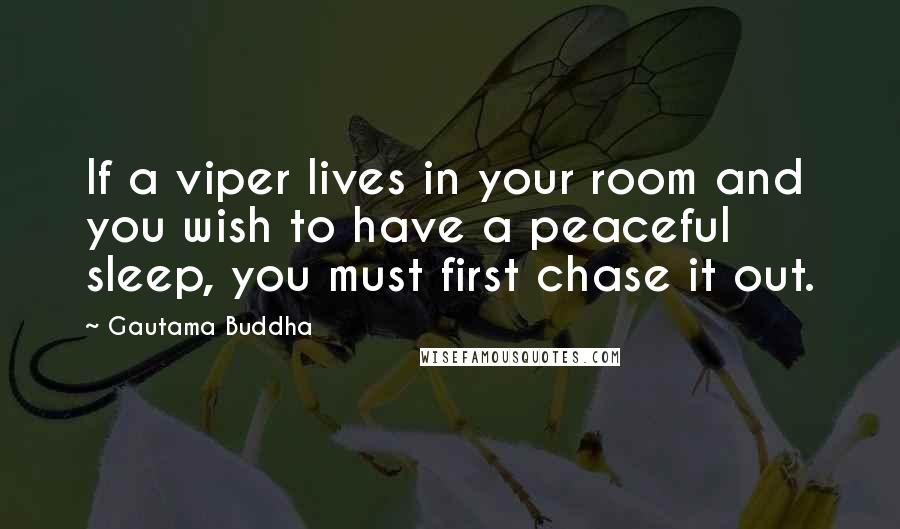Gautama Buddha Quotes: If a viper lives in your room and you wish to have a peaceful sleep, you must first chase it out.