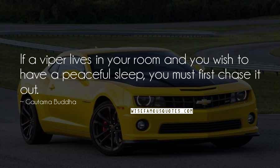 Gautama Buddha Quotes: If a viper lives in your room and you wish to have a peaceful sleep, you must first chase it out.