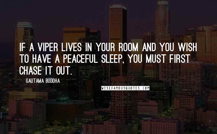 Gautama Buddha Quotes: If a viper lives in your room and you wish to have a peaceful sleep, you must first chase it out.