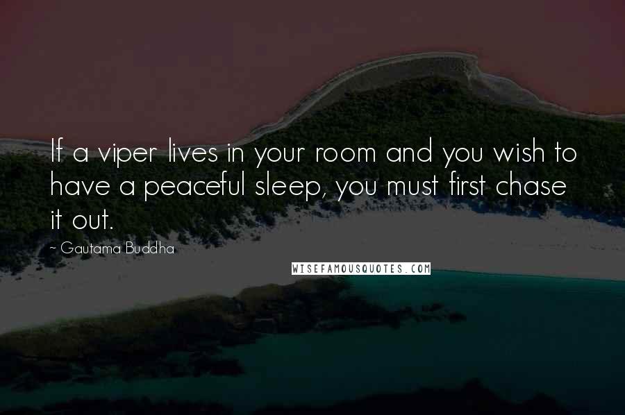 Gautama Buddha Quotes: If a viper lives in your room and you wish to have a peaceful sleep, you must first chase it out.