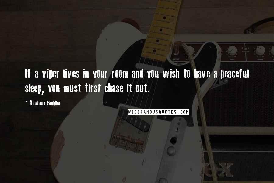 Gautama Buddha Quotes: If a viper lives in your room and you wish to have a peaceful sleep, you must first chase it out.