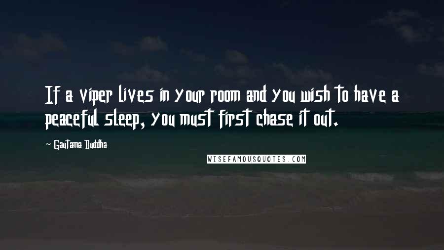 Gautama Buddha Quotes: If a viper lives in your room and you wish to have a peaceful sleep, you must first chase it out.