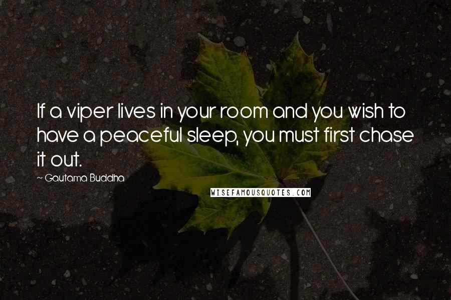 Gautama Buddha Quotes: If a viper lives in your room and you wish to have a peaceful sleep, you must first chase it out.