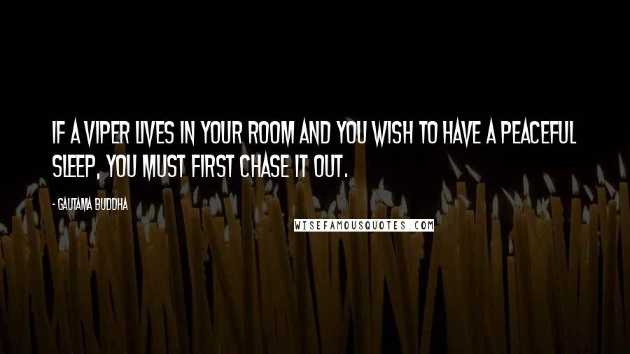 Gautama Buddha Quotes: If a viper lives in your room and you wish to have a peaceful sleep, you must first chase it out.