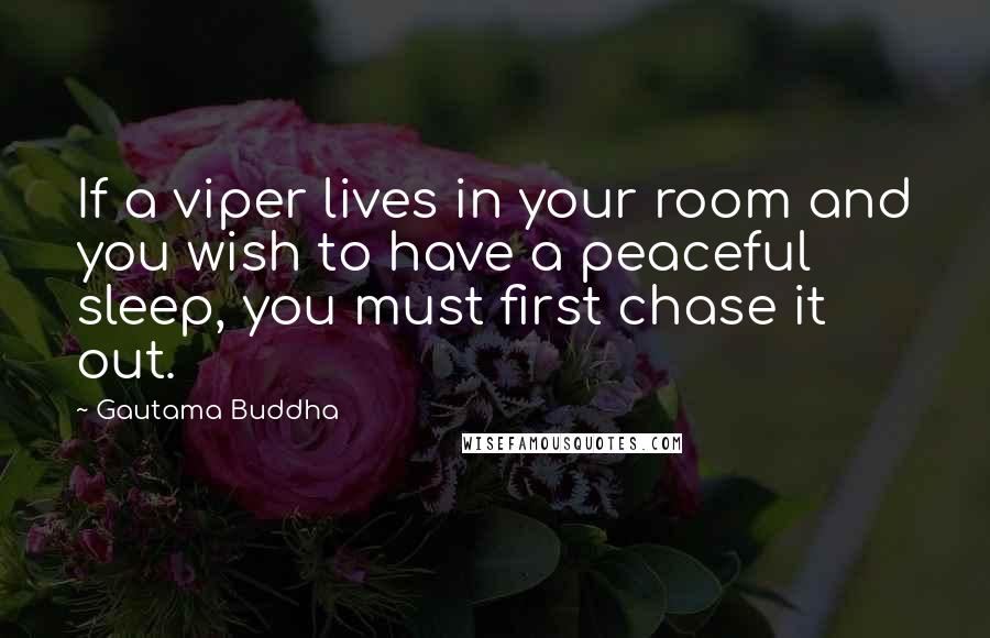 Gautama Buddha Quotes: If a viper lives in your room and you wish to have a peaceful sleep, you must first chase it out.
