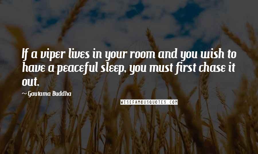 Gautama Buddha Quotes: If a viper lives in your room and you wish to have a peaceful sleep, you must first chase it out.