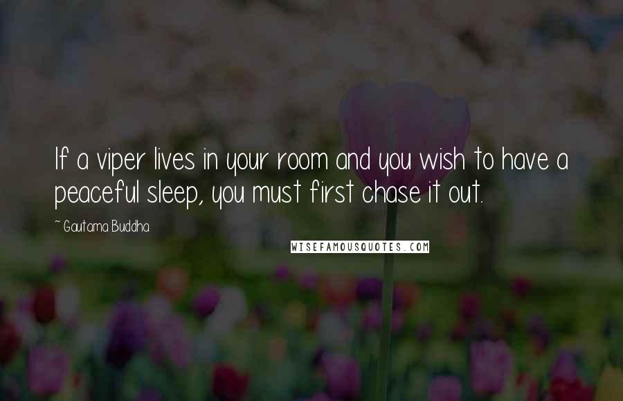 Gautama Buddha Quotes: If a viper lives in your room and you wish to have a peaceful sleep, you must first chase it out.