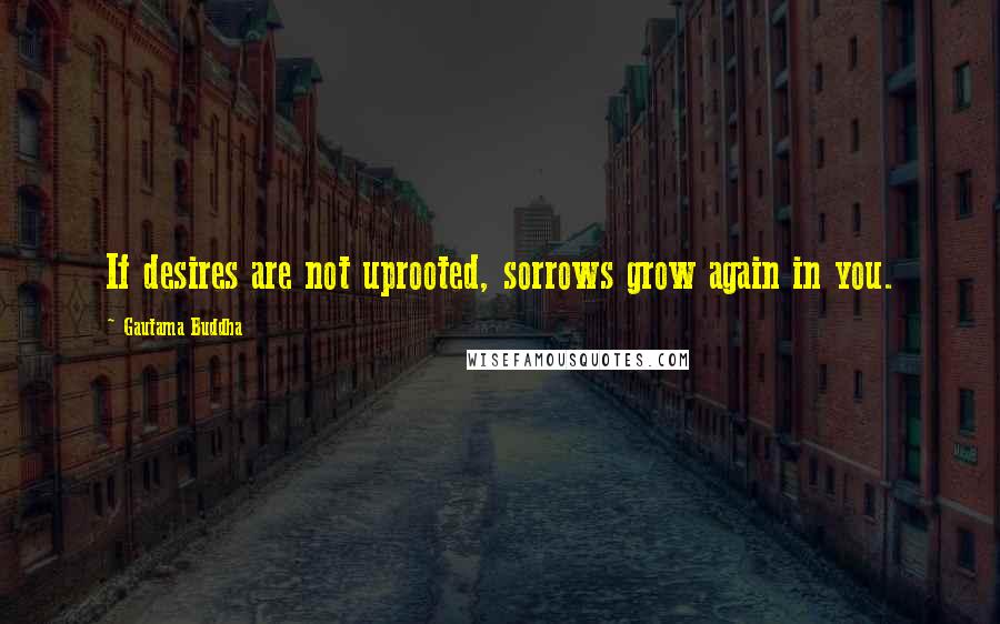 Gautama Buddha Quotes: If desires are not uprooted, sorrows grow again in you.