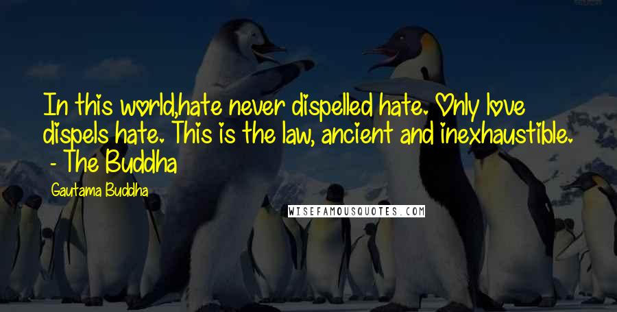 Gautama Buddha Quotes: In this world,hate never dispelled hate. Only love dispels hate. This is the law, ancient and inexhaustible. - The Buddha