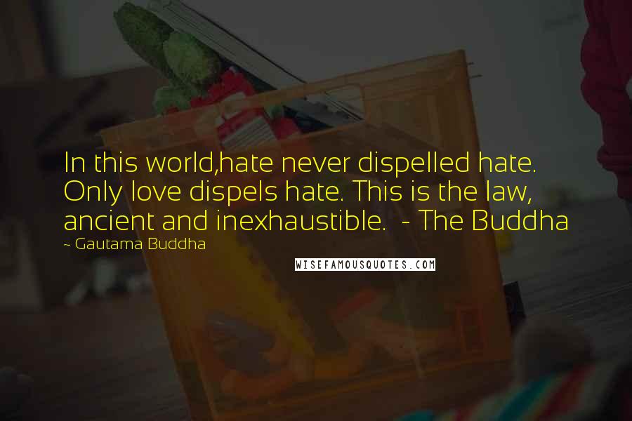 Gautama Buddha Quotes: In this world,hate never dispelled hate. Only love dispels hate. This is the law, ancient and inexhaustible. - The Buddha