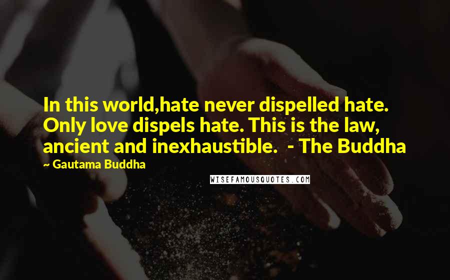 Gautama Buddha Quotes: In this world,hate never dispelled hate. Only love dispels hate. This is the law, ancient and inexhaustible. - The Buddha