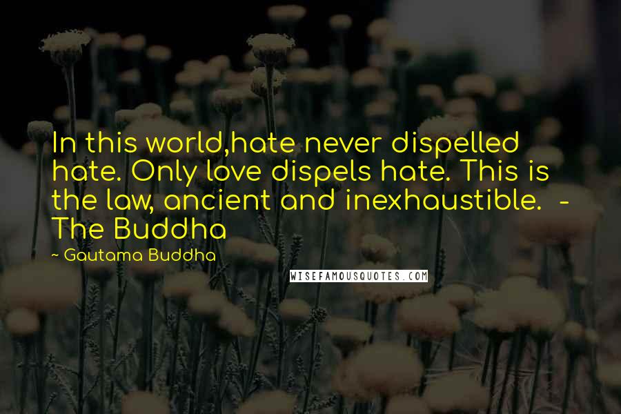 Gautama Buddha Quotes: In this world,hate never dispelled hate. Only love dispels hate. This is the law, ancient and inexhaustible. - The Buddha