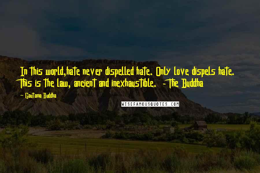 Gautama Buddha Quotes: In this world,hate never dispelled hate. Only love dispels hate. This is the law, ancient and inexhaustible. - The Buddha