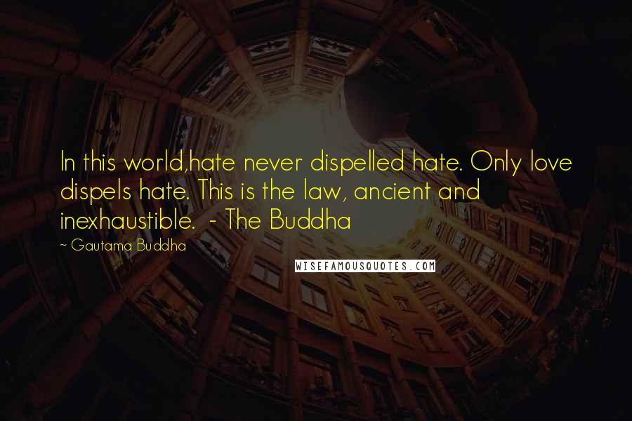 Gautama Buddha Quotes: In this world,hate never dispelled hate. Only love dispels hate. This is the law, ancient and inexhaustible. - The Buddha