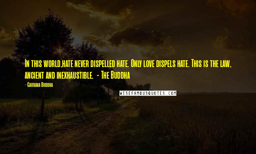Gautama Buddha Quotes: In this world,hate never dispelled hate. Only love dispels hate. This is the law, ancient and inexhaustible. - The Buddha
