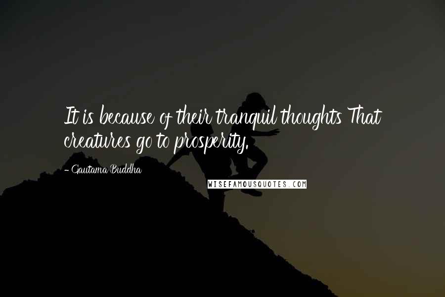 Gautama Buddha Quotes: It is because of their tranquil thoughts That creatures go to prosperity.