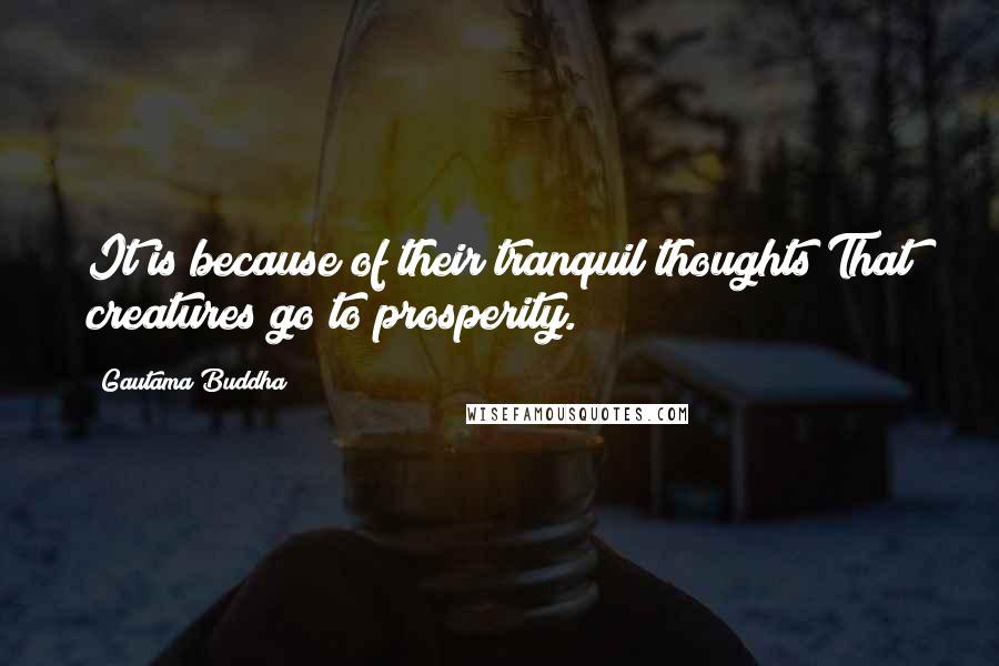Gautama Buddha Quotes: It is because of their tranquil thoughts That creatures go to prosperity.