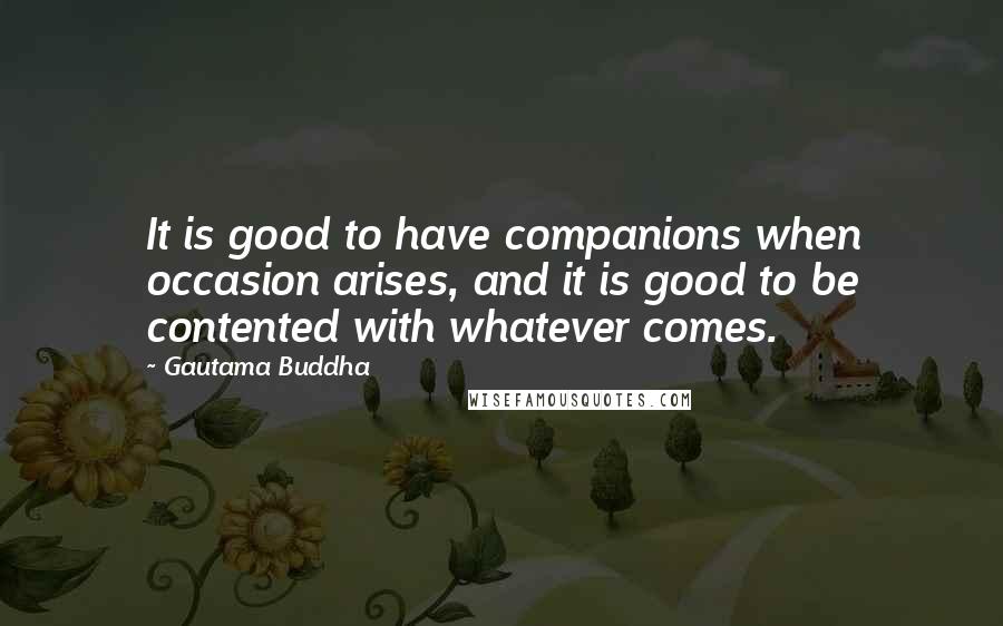 Gautama Buddha Quotes: It is good to have companions when occasion arises, and it is good to be contented with whatever comes.