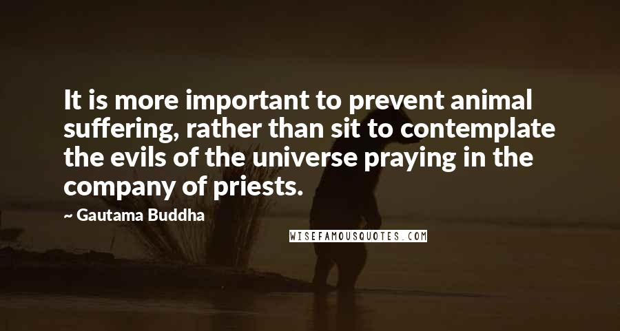 Gautama Buddha Quotes: It is more important to prevent animal suffering, rather than sit to contemplate the evils of the universe praying in the company of priests.