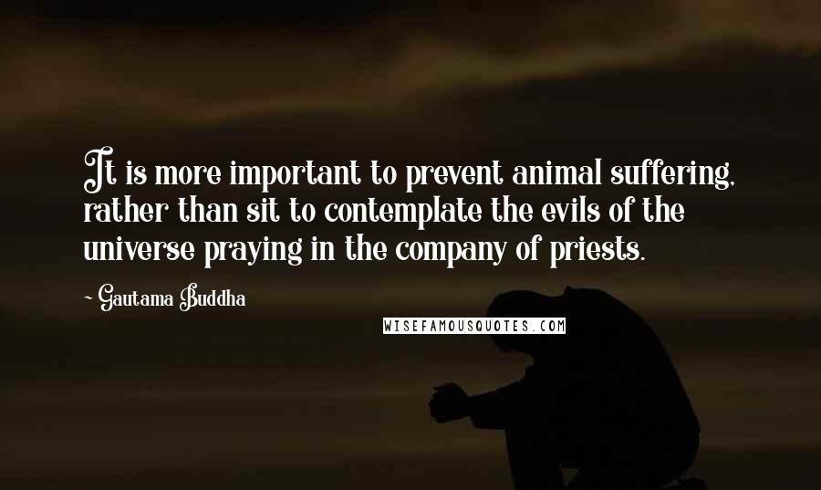 Gautama Buddha Quotes: It is more important to prevent animal suffering, rather than sit to contemplate the evils of the universe praying in the company of priests.