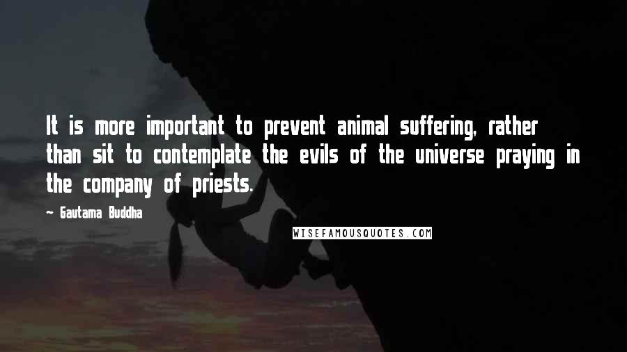 Gautama Buddha Quotes: It is more important to prevent animal suffering, rather than sit to contemplate the evils of the universe praying in the company of priests.
