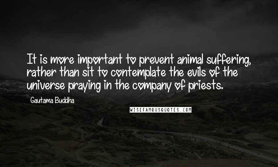 Gautama Buddha Quotes: It is more important to prevent animal suffering, rather than sit to contemplate the evils of the universe praying in the company of priests.
