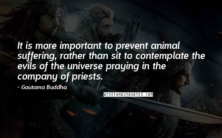 Gautama Buddha Quotes: It is more important to prevent animal suffering, rather than sit to contemplate the evils of the universe praying in the company of priests.