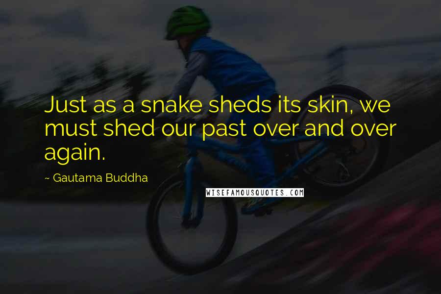 Gautama Buddha Quotes: Just as a snake sheds its skin, we must shed our past over and over again.