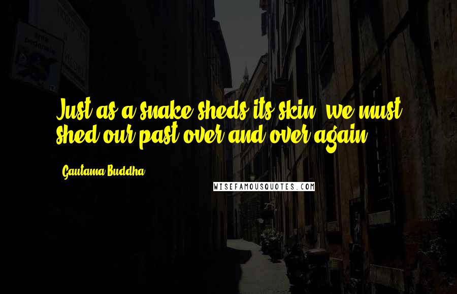 Gautama Buddha Quotes: Just as a snake sheds its skin, we must shed our past over and over again.