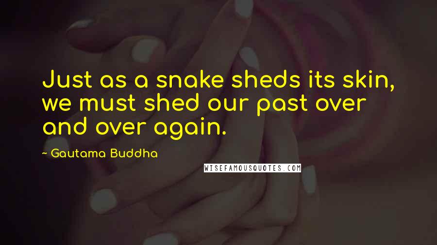 Gautama Buddha Quotes: Just as a snake sheds its skin, we must shed our past over and over again.
