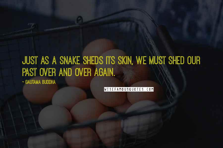 Gautama Buddha Quotes: Just as a snake sheds its skin, we must shed our past over and over again.