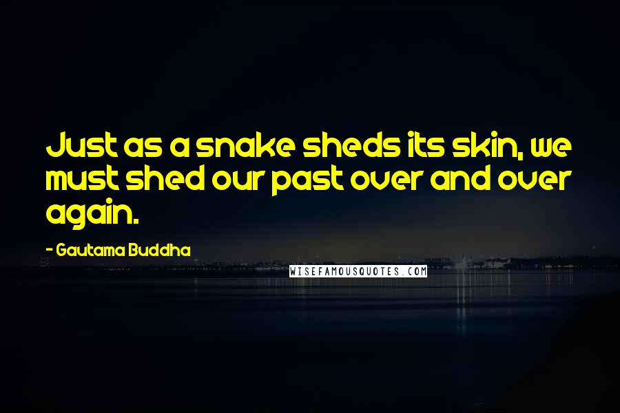 Gautama Buddha Quotes: Just as a snake sheds its skin, we must shed our past over and over again.