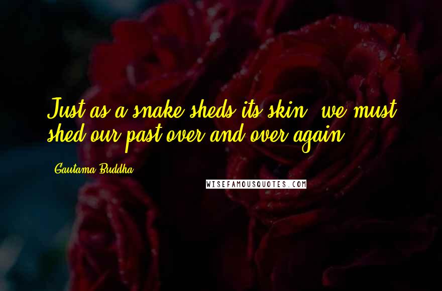 Gautama Buddha Quotes: Just as a snake sheds its skin, we must shed our past over and over again.