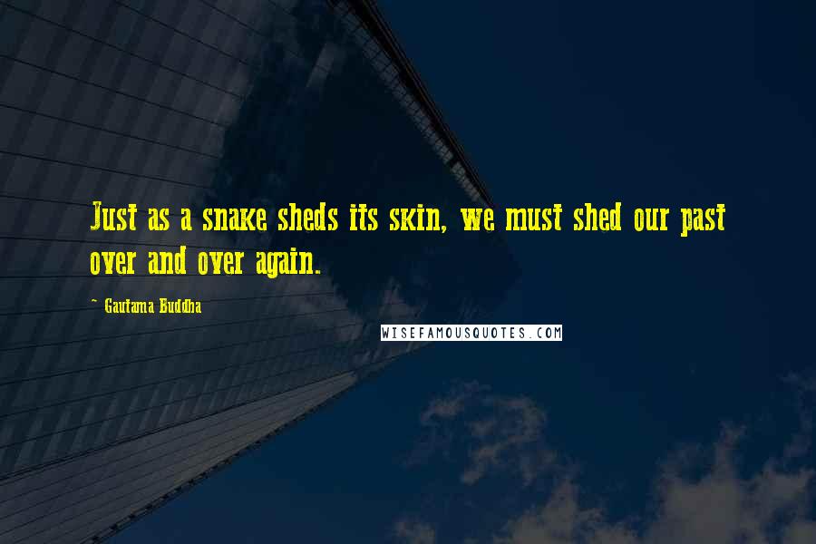 Gautama Buddha Quotes: Just as a snake sheds its skin, we must shed our past over and over again.