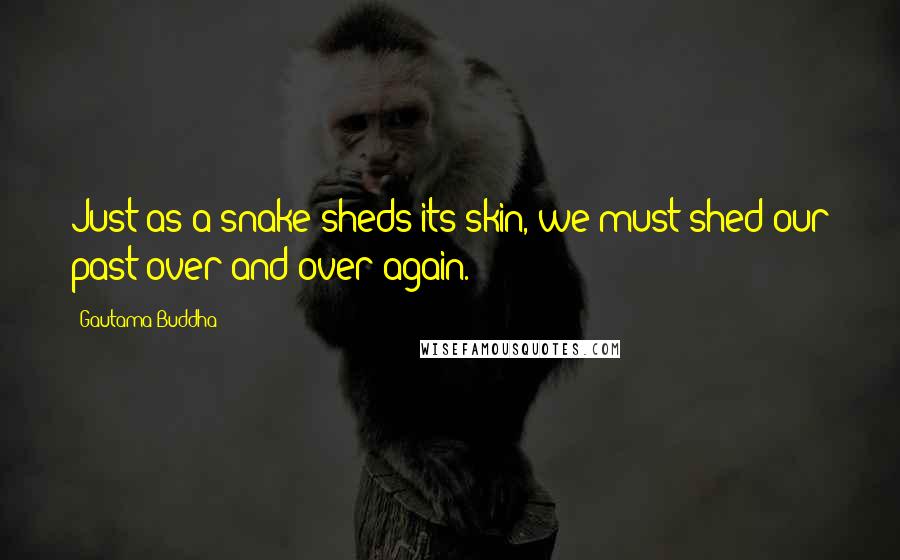 Gautama Buddha Quotes: Just as a snake sheds its skin, we must shed our past over and over again.