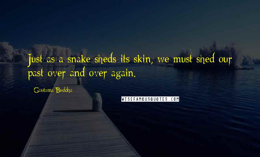 Gautama Buddha Quotes: Just as a snake sheds its skin, we must shed our past over and over again.