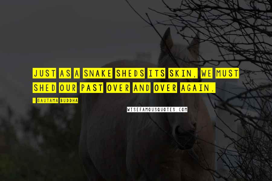 Gautama Buddha Quotes: Just as a snake sheds its skin, we must shed our past over and over again.