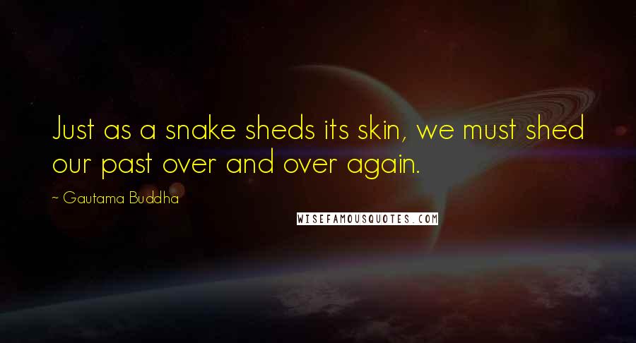 Gautama Buddha Quotes: Just as a snake sheds its skin, we must shed our past over and over again.