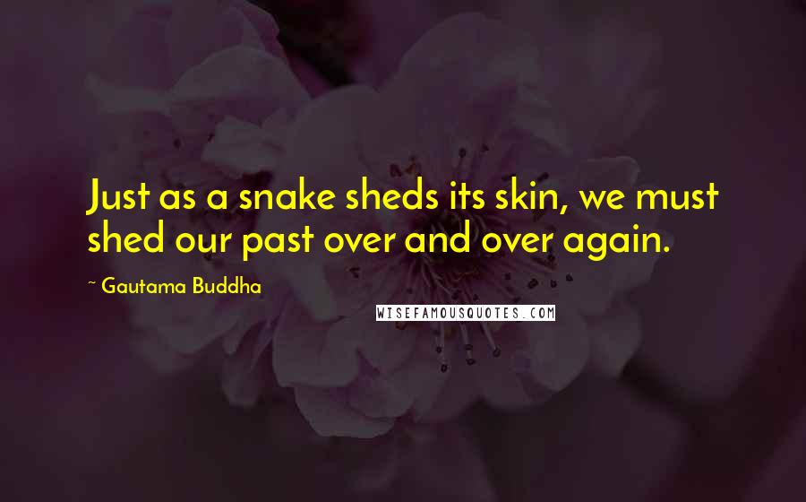 Gautama Buddha Quotes: Just as a snake sheds its skin, we must shed our past over and over again.