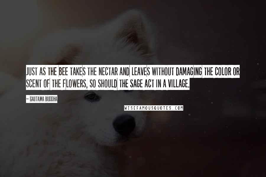 Gautama Buddha Quotes: Just as the bee takes the nectar and leaves without damaging the color or scent of the flowers, so should the sage act in a village.