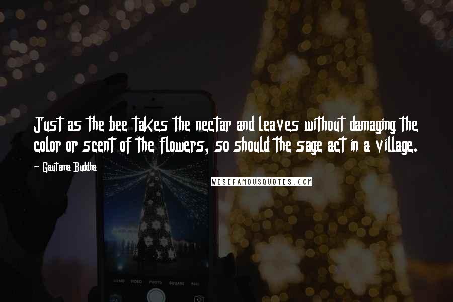 Gautama Buddha Quotes: Just as the bee takes the nectar and leaves without damaging the color or scent of the flowers, so should the sage act in a village.